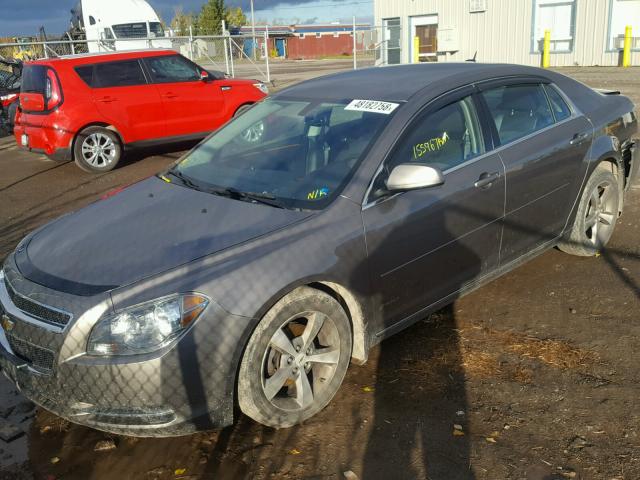 1G1ZD5EU1BF398588 - 2011 CHEVROLET MALIBU 2LT BROWN photo 2