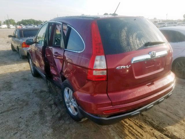 5J6RE3H79AL000682 - 2010 HONDA CR-V EXL RED photo 3