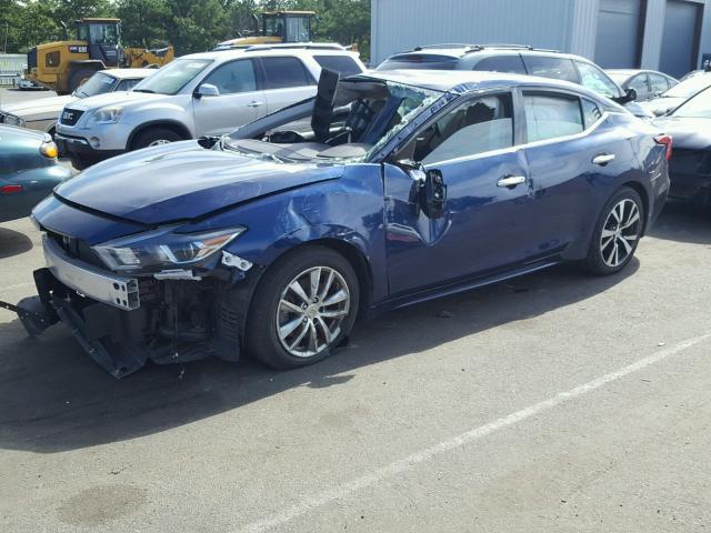 1N4AA6AP7HC391731 - 2017 NISSAN MAXIMA 3.5 BLUE photo 2