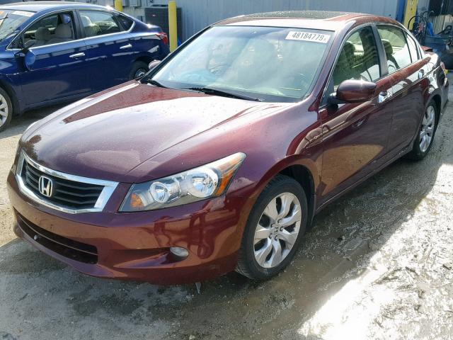 1HGCP36878A072392 - 2008 HONDA ACCORD EXL BURGUNDY photo 2