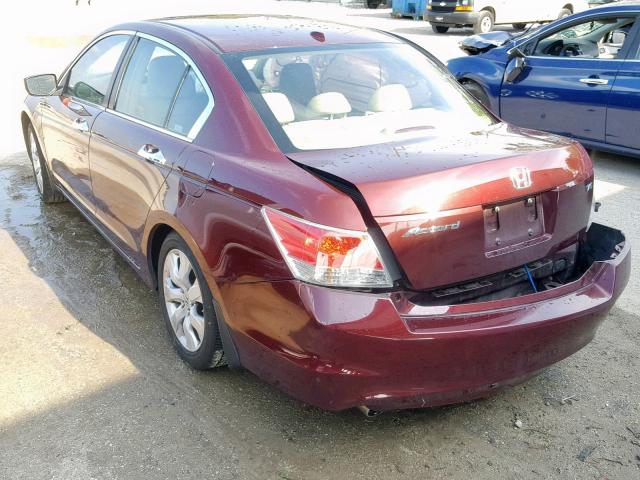 1HGCP36878A072392 - 2008 HONDA ACCORD EXL BURGUNDY photo 3