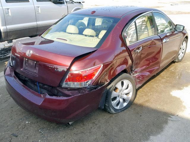 1HGCP36878A072392 - 2008 HONDA ACCORD EXL BURGUNDY photo 4