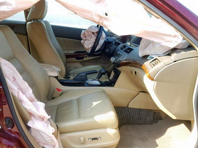 1HGCP36878A072392 - 2008 HONDA ACCORD EXL BURGUNDY photo 5