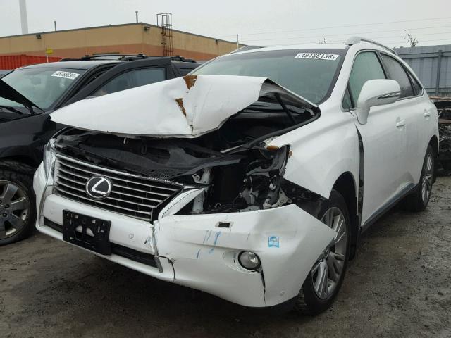 2T2BK1BA3DC207665 - 2013 LEXUS RX 350 WHITE photo 2