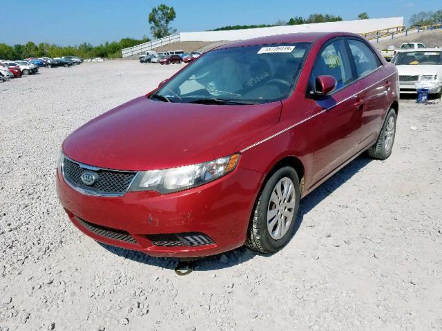 KNAFU4A20A5073148 - 2010 KIA FORTE EX RED photo 2