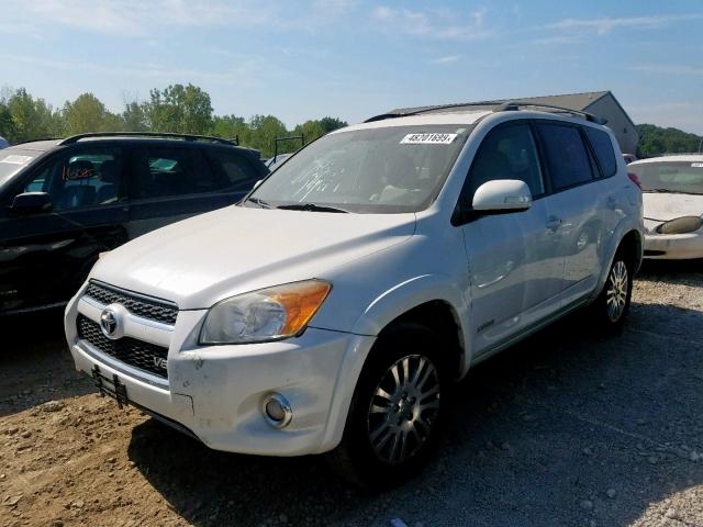 JTMDK4DV6AD017081 - 2010 TOYOTA RAV4 LIMIT WHITE photo 2