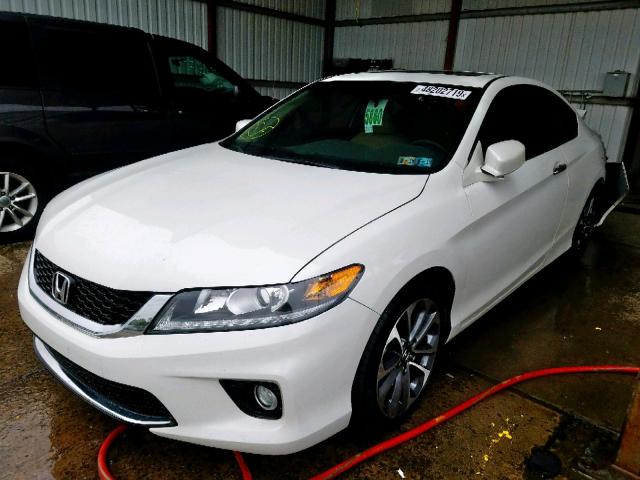 1HGCT2B86DA009094 - 2013 HONDA ACCORD EXL WHITE photo 2