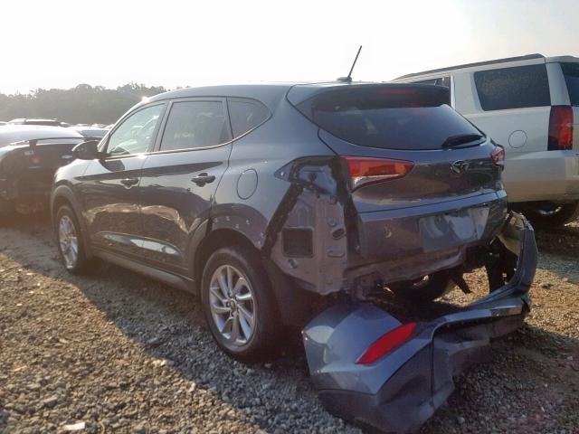 KM8J23A46GU124421 - 2016 HYUNDAI TUCSON SE GRAY photo 3