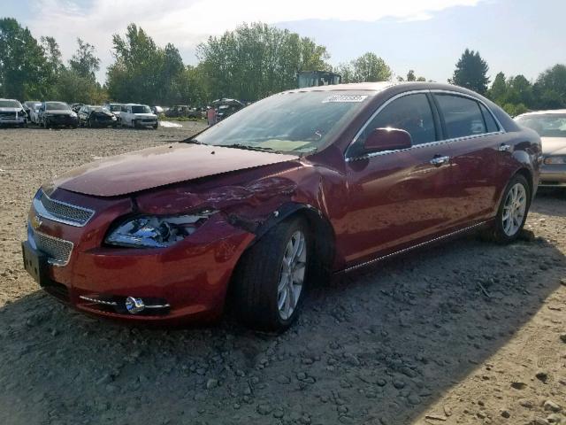 1G1ZK57729F130172 - 2009 CHEVROLET MALIBU LTZ მუქწითელი ფოტო 2