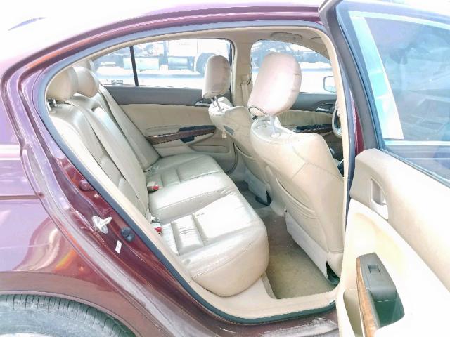 1HGCP26829A174906 - 2009 HONDA ACCORD EXL MAROON photo 6