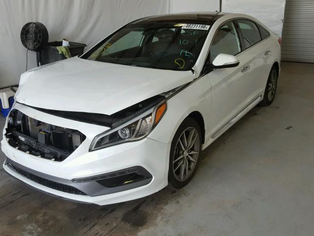 5NPE34AB8FH041816 - 2015 HYUNDAI SONATA SPO WHITE photo 2