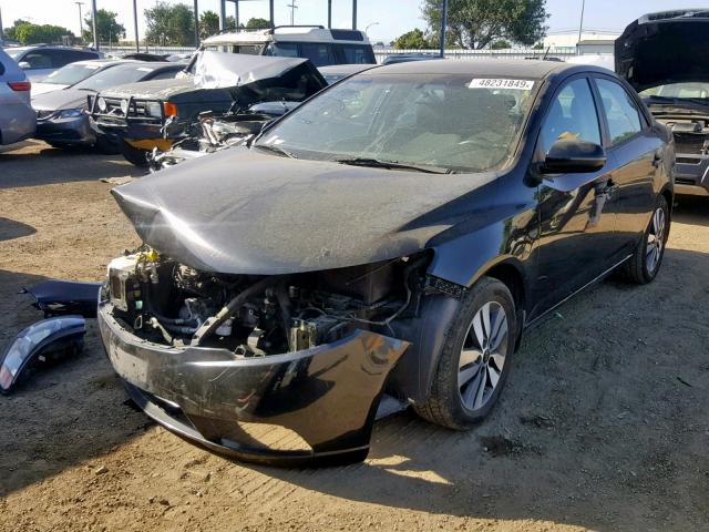 KNAFU4A29D5686681 - 2013 KIA FORTE EX BLACK photo 2