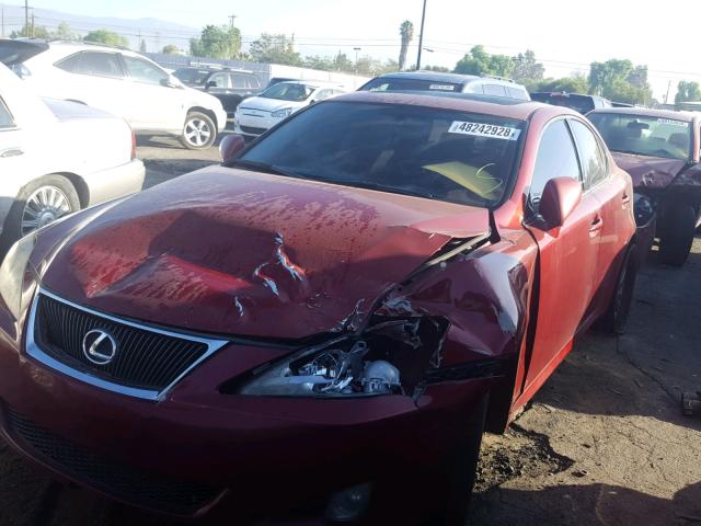 JTHBK262582067005 - 2008 LEXUS IS 250 RED photo 2