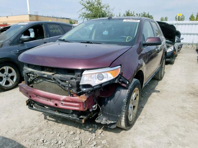 2FMDK3JCXBBA90003 - 2011 FORD EDGE SEL BURGUNDY photo 2