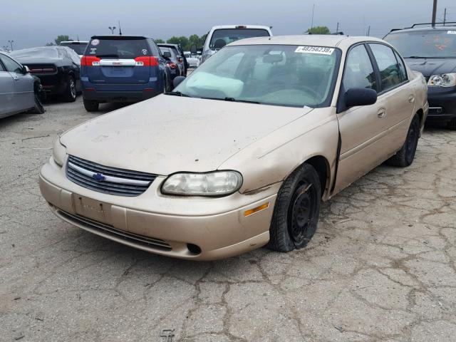 1G1ND52F85M175338 - 2005 CHEVROLET CLASSIC TAN photo 2