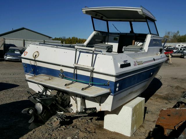 MVJF1418D989 - 1989 FREE BOAT BLUE photo 4