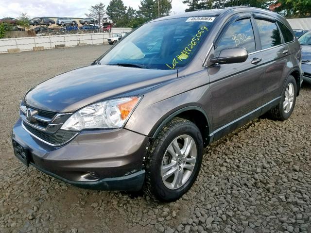 5J6RE4H79BL122336 - 2011 HONDA CR-V EXL BROWN photo 2