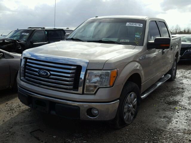 1FTEW1C80AFD17934 - 2010 FORD F150 SUPER TAN photo 2