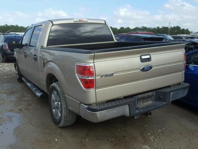 1FTEW1C80AFD17934 - 2010 FORD F150 SUPER TAN photo 3
