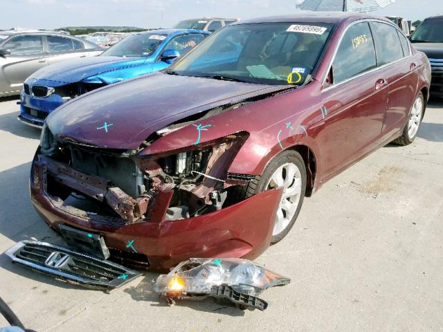 1HGCP26819A088681 - 2009 HONDA ACCORD EXL BURGUNDY photo 2