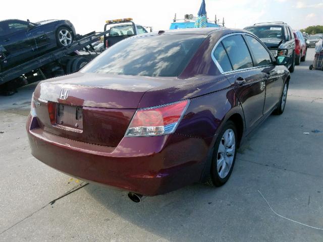 1HGCP26819A088681 - 2009 HONDA ACCORD EXL BURGUNDY photo 4