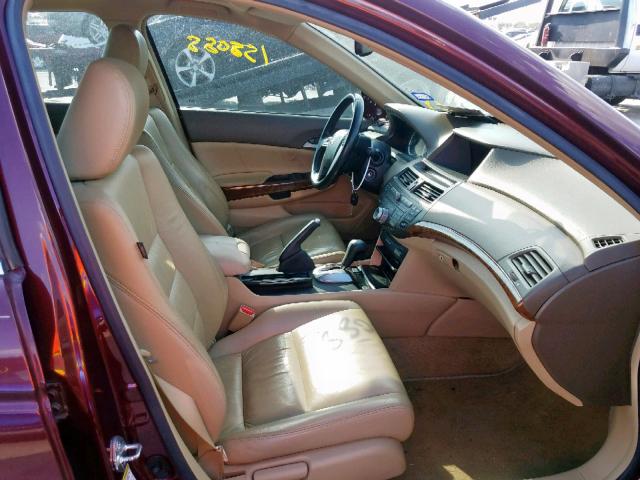 1HGCP26819A088681 - 2009 HONDA ACCORD EXL BURGUNDY photo 5