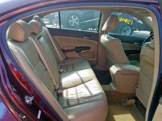 1HGCP26819A088681 - 2009 HONDA ACCORD EXL BURGUNDY photo 6