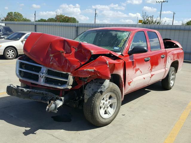 1D7HE48K98S506305 - 2008 DODGE DAKOTA QUA RED photo 2