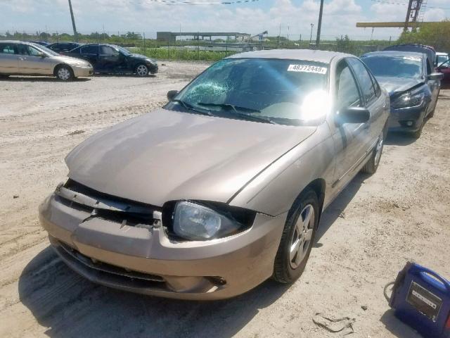 1G1JF52F637357298 - 2003 CHEVROLET CAVALIER L GOLD photo 2