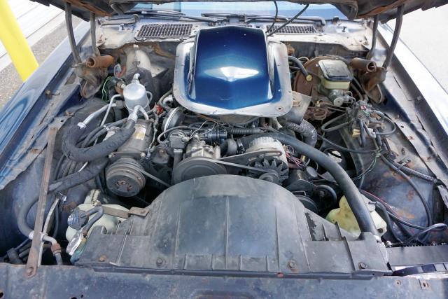 1G2AW87W8BN103771 - 1981 PONTIAC FIREBIRD T BLUE photo 7