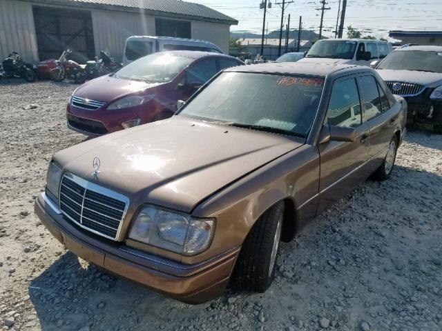 WDBEA34E5SC208482 - 1995 MERCEDES-BENZ E 420 BASE GOLD photo 2