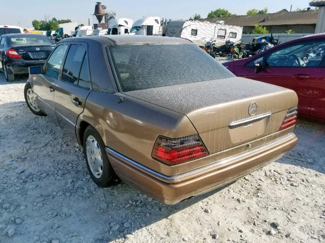 WDBEA34E5SC208482 - 1995 MERCEDES-BENZ E 420 BASE GOLD photo 3