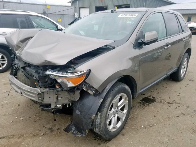 2FMDK4JC1CBA11843 - 2012 FORD EDGE SEL BROWN photo 2