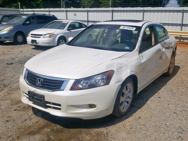 1HGCP36848A070857 - 2008 HONDA ACCORD EXL WHITE photo 2