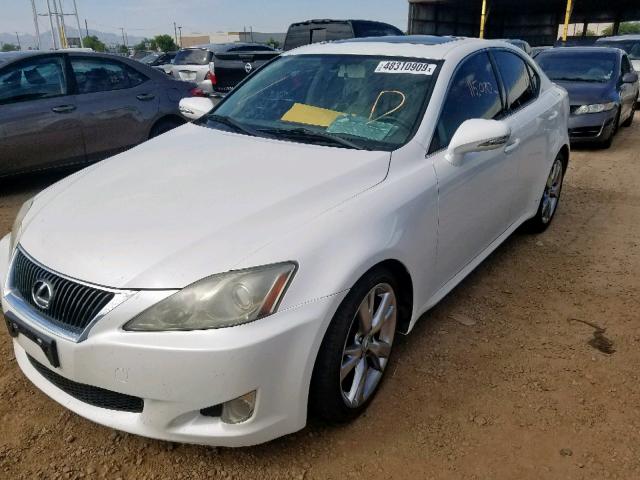 JTHBK262395105024 - 2009 LEXUS IS 250 WHITE photo 2