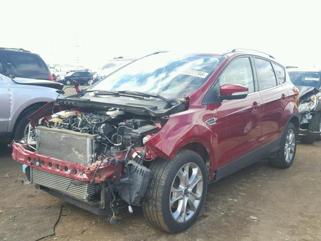 1FMCU0JX3EUE35684 - 2014 FORD ESCAPE TIT RED photo 2