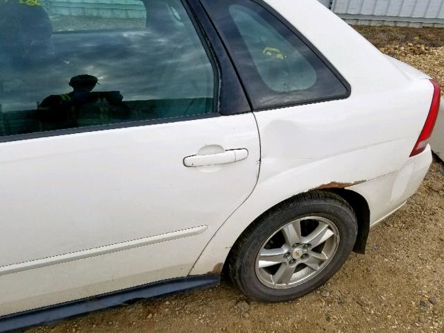 1G1ZT62835F204325 - 2005 CHEVROLET MALIBU MAX 白色 照片 10