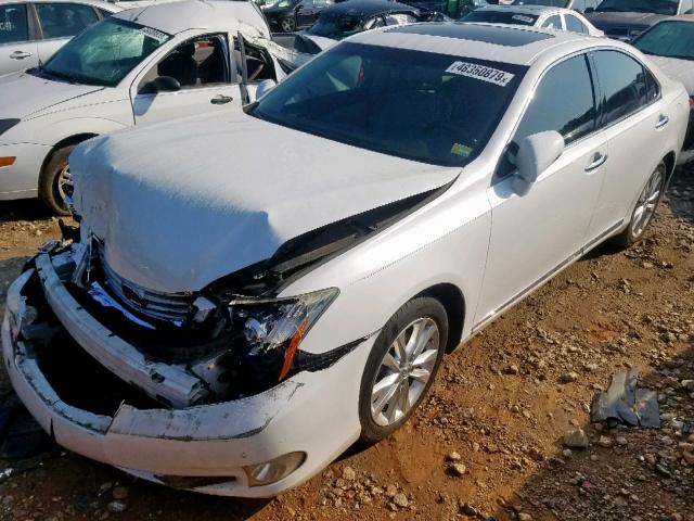 JTHBK1EG6A2349229 - 2010 LEXUS ES 350 WHITE photo 2