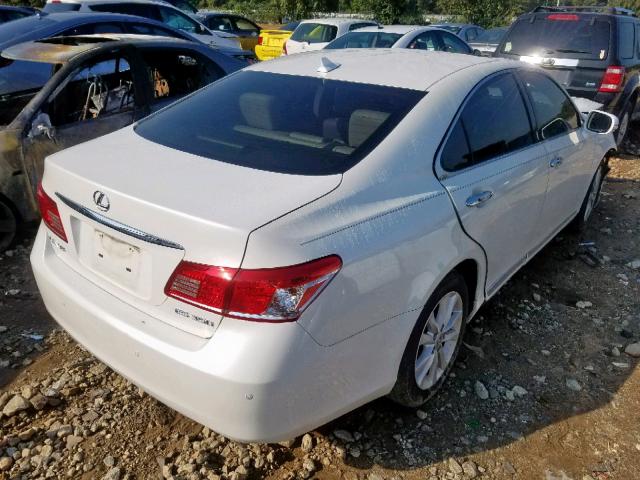 JTHBK1EG6A2349229 - 2010 LEXUS ES 350 WHITE photo 4