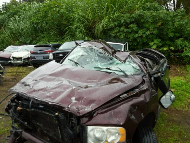 3D7KS28C65G797263 - 2005 DODGE RAM 2500 S იასამნისფერი ფოტო 10