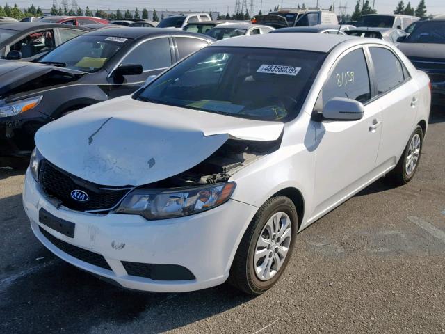 KNAFU4A23C5493134 - 2012 KIA FORTE EX WHITE photo 2