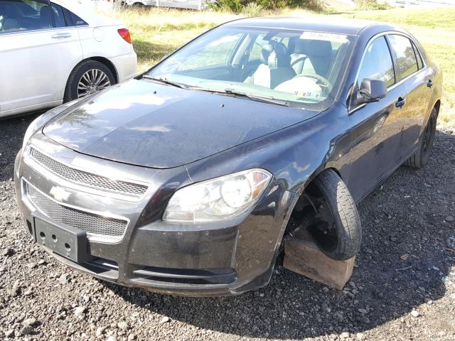 1G1ZB5E14BF144613 - 2011 CHEVROLET MALIBU LS შავი ფოტო 2