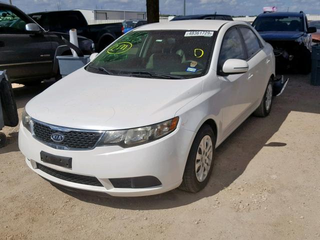 KNAFU4A29B5376687 - 2011 KIA FORTE EX WHITE photo 2