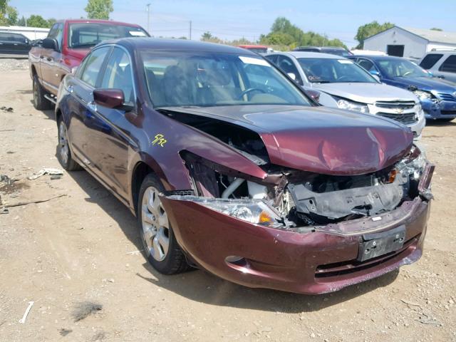 5KBCP3F8XAB017349 - 2010 HONDA ACCORD EXL MAROON photo 1