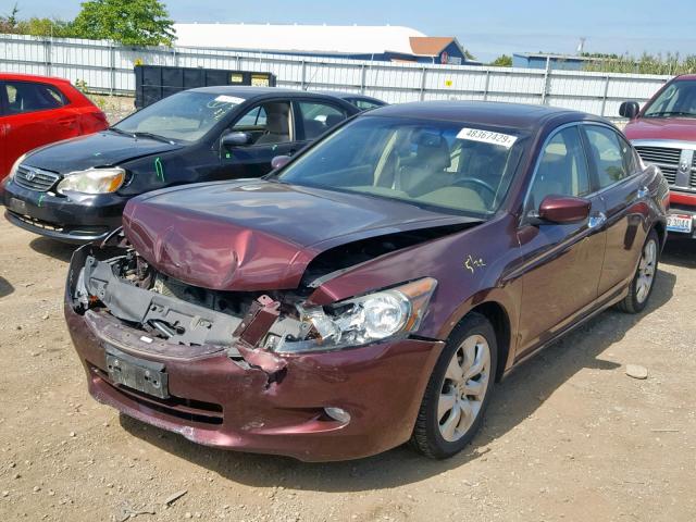 5KBCP3F8XAB017349 - 2010 HONDA ACCORD EXL MAROON photo 2