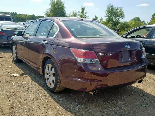 5KBCP3F8XAB017349 - 2010 HONDA ACCORD EXL MAROON photo 3