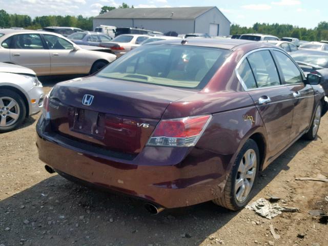 5KBCP3F8XAB017349 - 2010 HONDA ACCORD EXL MAROON photo 4