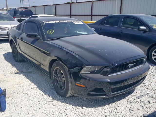 1ZVBP8AM8D5227480 - 2013 FORD MUSTANG BLACK photo 1