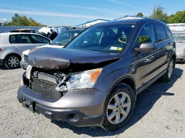 5J6RE48719L049523 - 2009 HONDA CR-V EXL GRAY photo 2