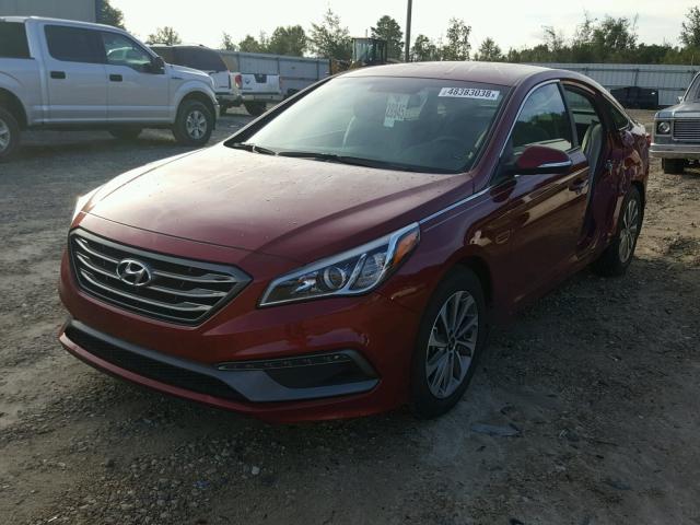 5NPE34AFXGH422264 - 2016 HYUNDAI SONATA SPO RED photo 2